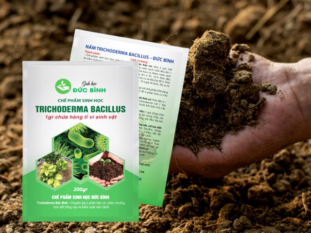 Bà con có thể trộn Trichoderma cùng đất trồng