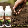 Các loại acid amin có trong đạm cá