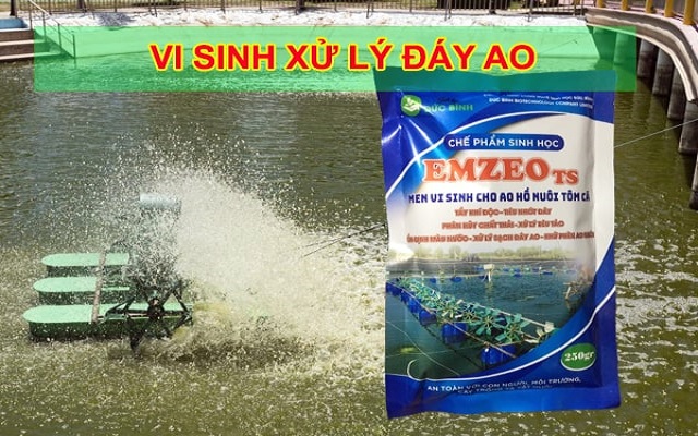 Cách dùng chế phẩm Emzeo TS