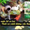 Cách sử dụng men xử lý nước hồ cá cảnh, cá koi rất dễ dàng