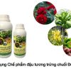 Công dụng sản phẩm sinh học đậu tương trứng chuối Đức Bình