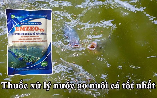 Sản phẩm giúp loại bỏ tạp chất, tăng vi khuẩn có lợi