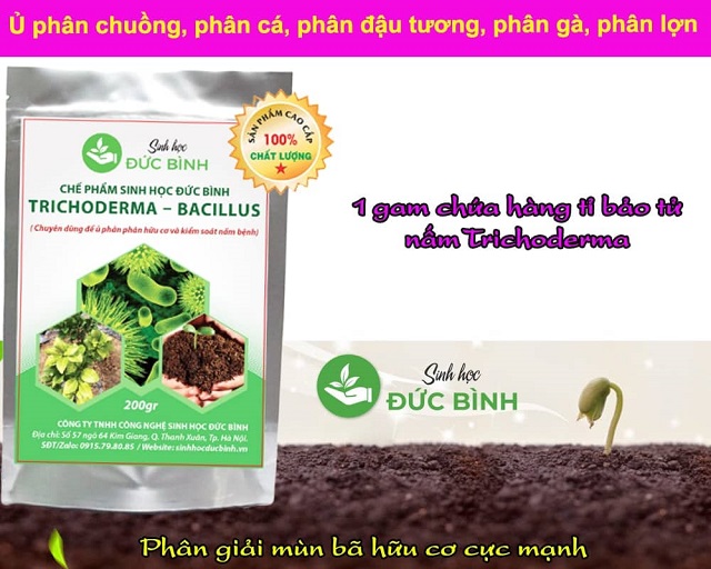 Chế phẩm sinh học chứa các chủng vi sinh vật có lợi cây trồng và vật nuôi