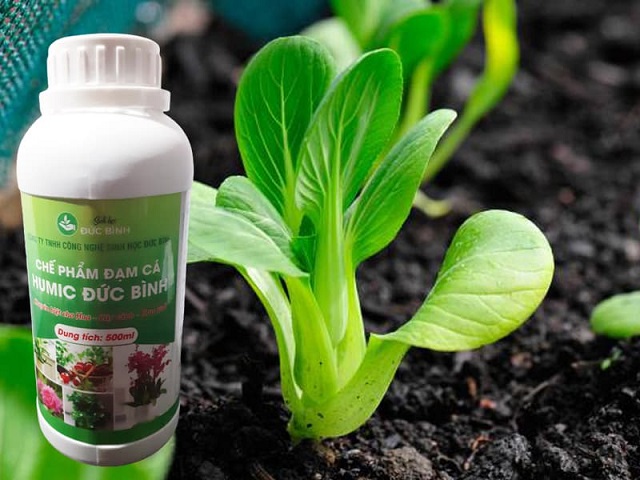 Chế phẩm sinh học giúp tăng năng suất chất lượng cây trồng, vật nuôi
