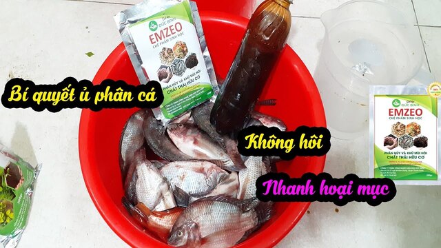 Chế phẩm vi sinh EMZEO khử mùi phân cá, phân trùn quế, phân bánh dầu,... hiệu quả