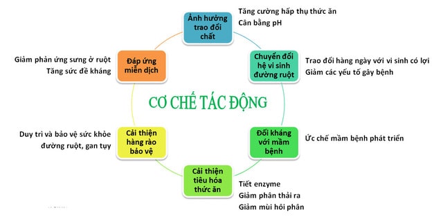 Cơ chế tác động của chế phẩm sinh học trong chăn nuôi
