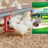 EMZEO chuồng trại là lựa chọn lý tưởng để làm đệm lót sinh học