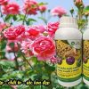 Giúp cây phát triển khoẻ mạnh, hoa to, lâu tàn