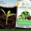 Sản phẩm nấm Trichoderma Bacillus của công ty sinh học Đức Bình