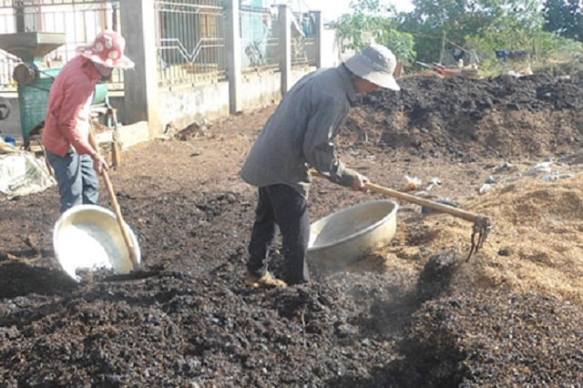 Trong quá trình ủ phân, bà con cần đảo phân từ 2 - 3 lần