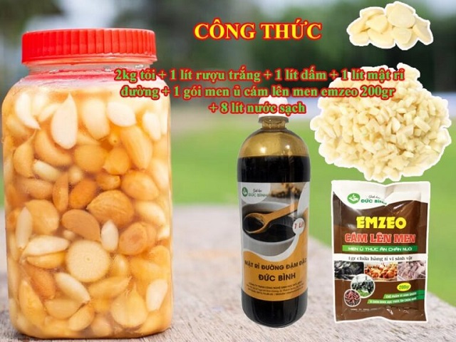 Ủ men tỏi cho vật nuôi để phòng và trị bệnh