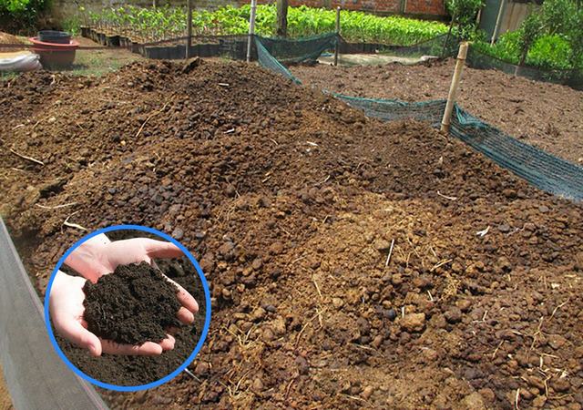 Tạo phân chuồng chất lượng qua phương pháp ủ nguội