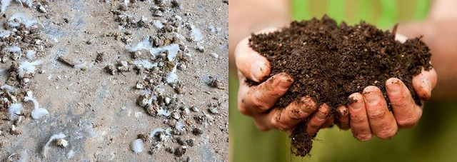 Chia sẻ 5 phương pháp ủ phân gà nhanh, không hôi 