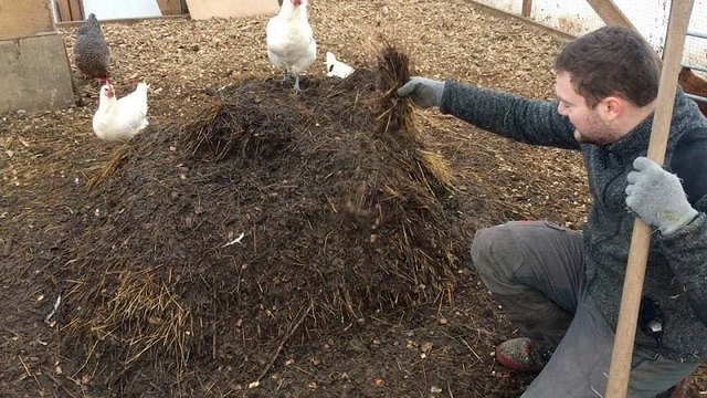 Thêm men vi sinh để đẩy nhanh hoạt động của vi sinh vật 