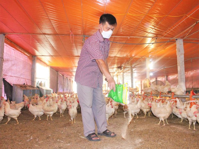 Ứng dụng của chế phẩm sinh học xử lý môi trường