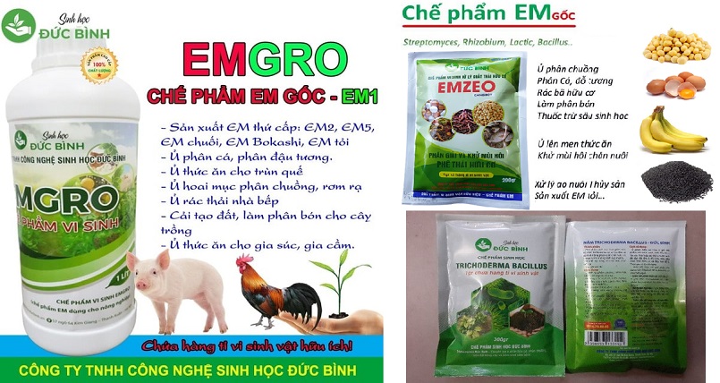 3 loại men vi sinh ủ phân tốt nhất hiện nay