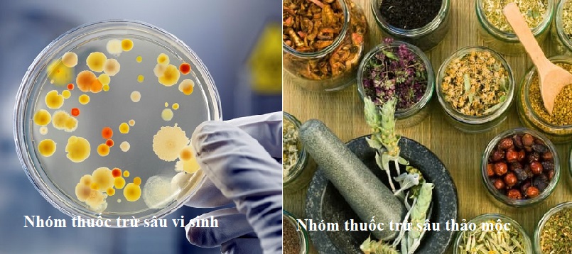  Có nguồn gốc sinh học nên có hai nhóm là từ thảo mộc và vi sinh