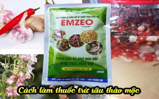 Hướng dẫn tự làm thuốc trừ sâu sinh học tại nhà