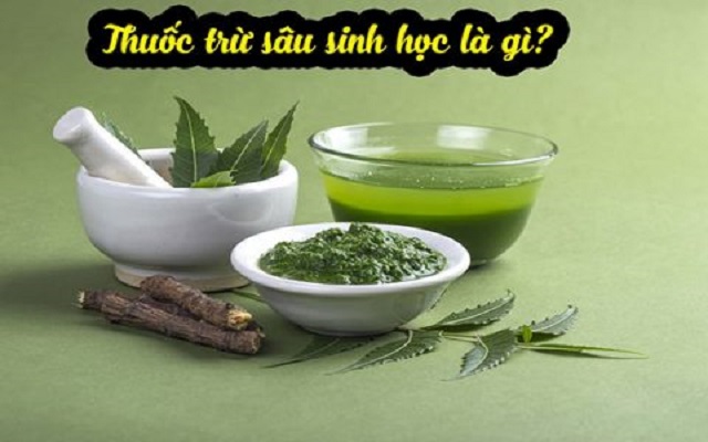 Khái niệm thuốc trừ sâu sinh học