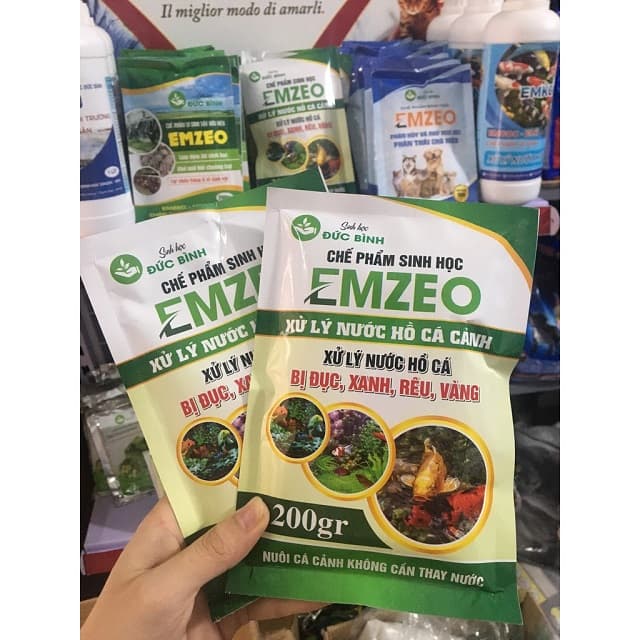 Sử dụng chế phẩm vi sinh chuyên xử lý nước hồ cá EMZEO
