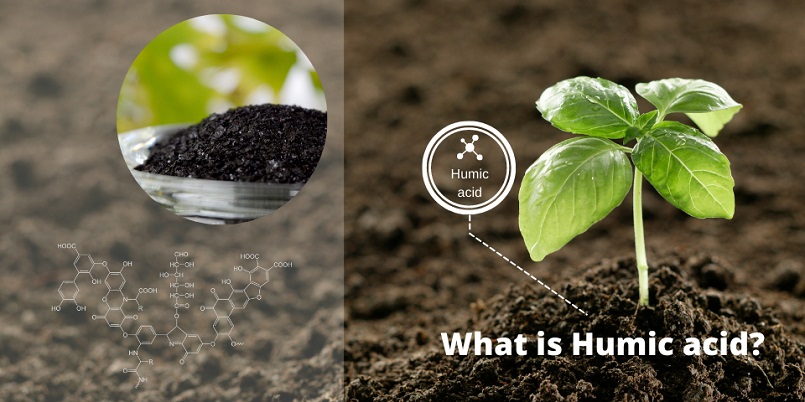Thuốc BVTV nguồn gốc từ axit humic