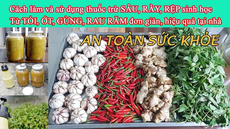 Thuốc sinh học an toàn tuyệt đối với môi trường và con người