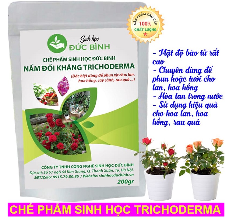 Thuốc trừ sâu nguồn từ nấm
