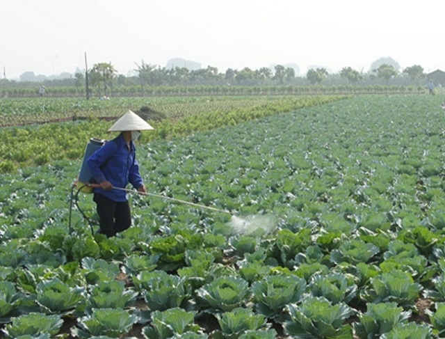 Thuốc trừ sâu sinh học - diệt trừ sâu bệnh hiệu quả, an toàn