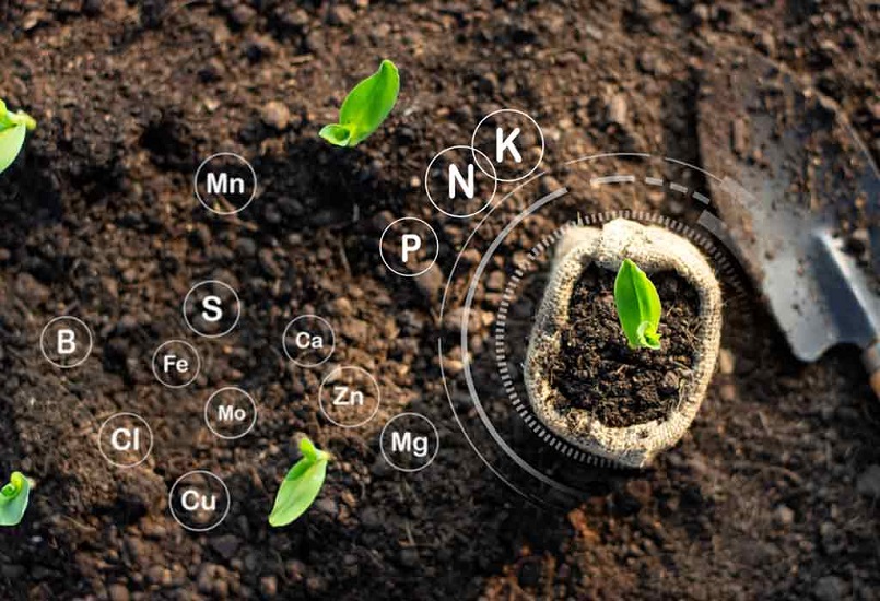 Tiết kiệm chi phí và khai thác triệt để các nguyên tố khoáng