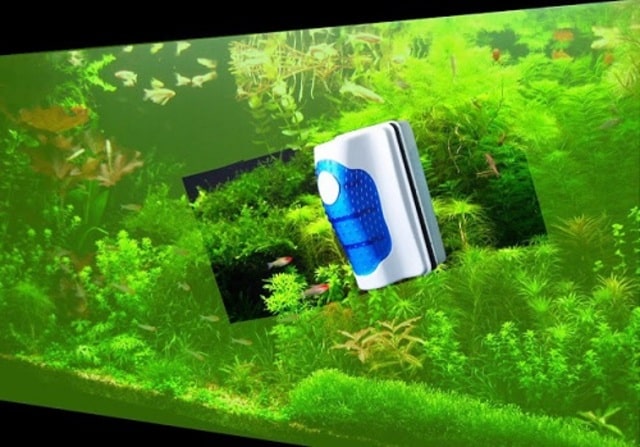 Xử lý nước hồ cá bị xanh bằng phương pháp vật lý: Lau chùi vệ sinh hồ cá, thay nước hồ, làm sạch bộ lọc